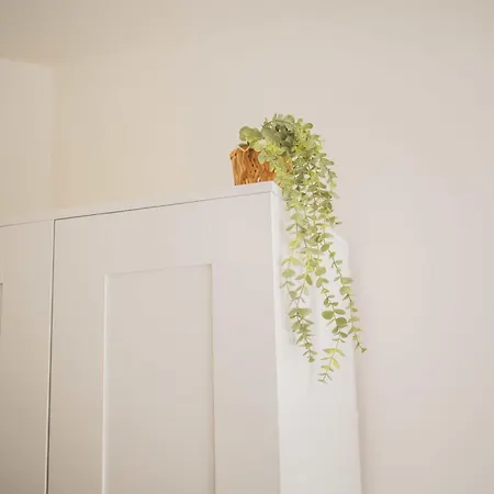 Amazing 50m2 Two-bedroom - Ts307a דירה איינדהובן